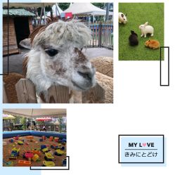 -萌宠亲子动物乐园(槐房万达店)