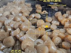-爪爪西施