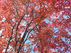 -丹东天桥沟景区