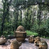 自然生态园—鸟岛