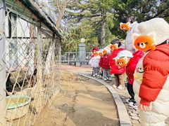 -北科婴幼学苑