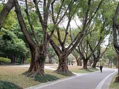 -人民公园(罗湖区)