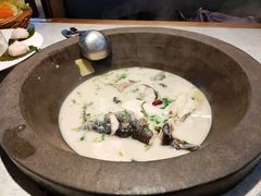 鲜潭蒸汽石锅江团鱼-鲜潭蒸汽石锅鱼(五道口购物中心店)