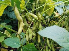 -溪口-滕头旅游景区