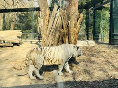 -北京野生动物园