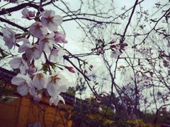 -UNI UNI(环亚凯瑟琳店)