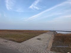 -南汇嘴观海公园