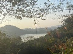 -水濂山森林公园