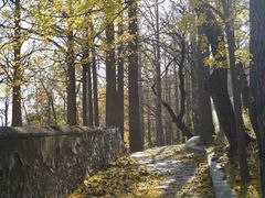 -阳台山自然风景区