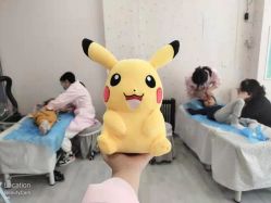 -豆乐园健康调理·小儿推拿