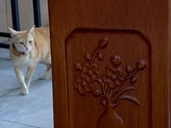 -官塘陈记鱼生·潮汕砂锅粥·牛肉火锅(潮枫路总店)