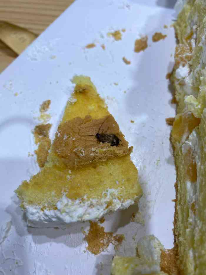 打分 过生日在他们家买了个蛋糕,吃到了蟑螂,太恶心了.