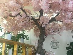 -汤里来温泉