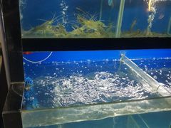 水产区-李东农庄(中南百草园地标店)