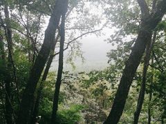 -帽儿山国家森林公园