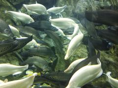 -成都浩海立方海洋公园