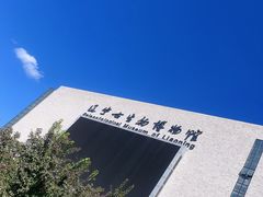 -辽宁古生物博物馆