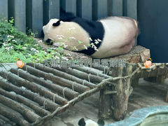-黔灵山公园