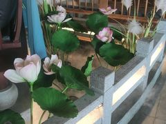 -荷塘秋月·本帮江浙菜(国权路店)
