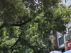 -回坊马二饺子馆