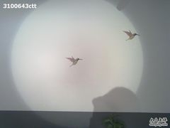 墙纸-美丽心情蛋糕(江苏路店)