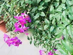 -一粥(华侨城创意文化园店)