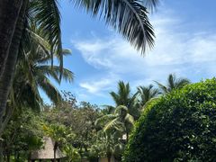 -海南清水湾莱佛士酒店