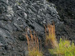 -夏威夷火山国家公园