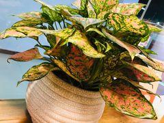 -博览书店(番禺石楼店)