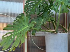 -Highline·城市露台景观餐厅(淮海路店)