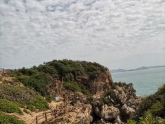 -杨梅坑