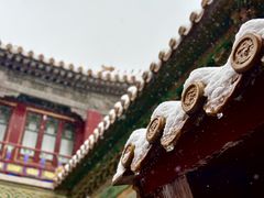 -故宫博物院(故宫)