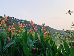 -常德桃花源景区