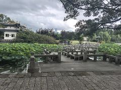 -江心屿景区