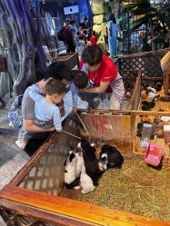 -酷嗒动物文化乐园(cutezoo西溪乐天城店)