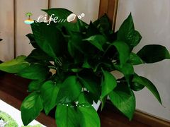 -宫七SPA·高端Massage(浦东大道店)