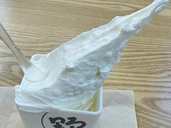 -野人先生Gelato(上海长宁龙之梦店)