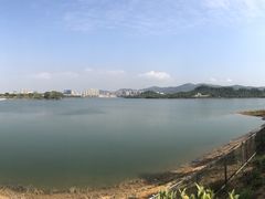 -立新湖公园
