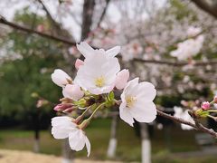 -堤角公园