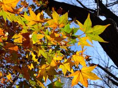 -玉渡山自然风景区