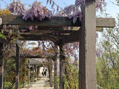 -缥缈峰景区