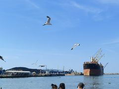 -海驴岛(荣成市)