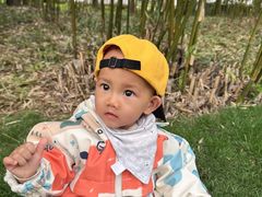 -合肥滨湖国家森林公园