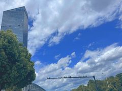 -天鹅湖体育公园