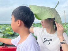 -白洋淀景区