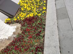 -合肥火车站(地铁站)