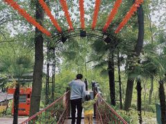 -合肥滨湖国家森林公园