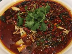 -莲花石酸菜鱼(海滨东路店)