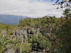 -梭布垭石林景区