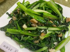 生炒菜心远-津津菜馆(绝没分店)